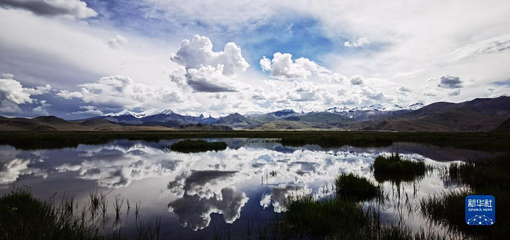 1659493153764496.jpg 8.jpg