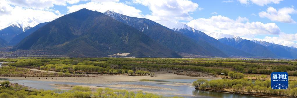 1681091455360429.jpg 1.jpg