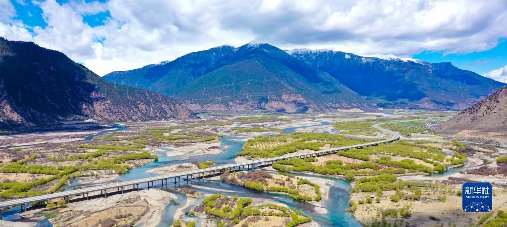 1681091485330280.jpg 4.jpg