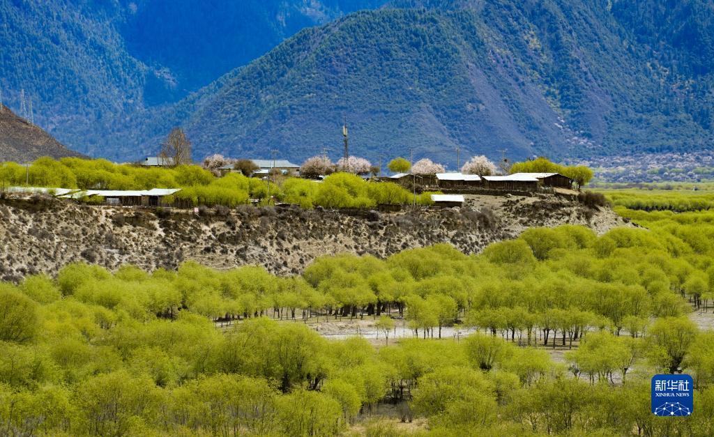 1681091494233645.jpg 5.jpg