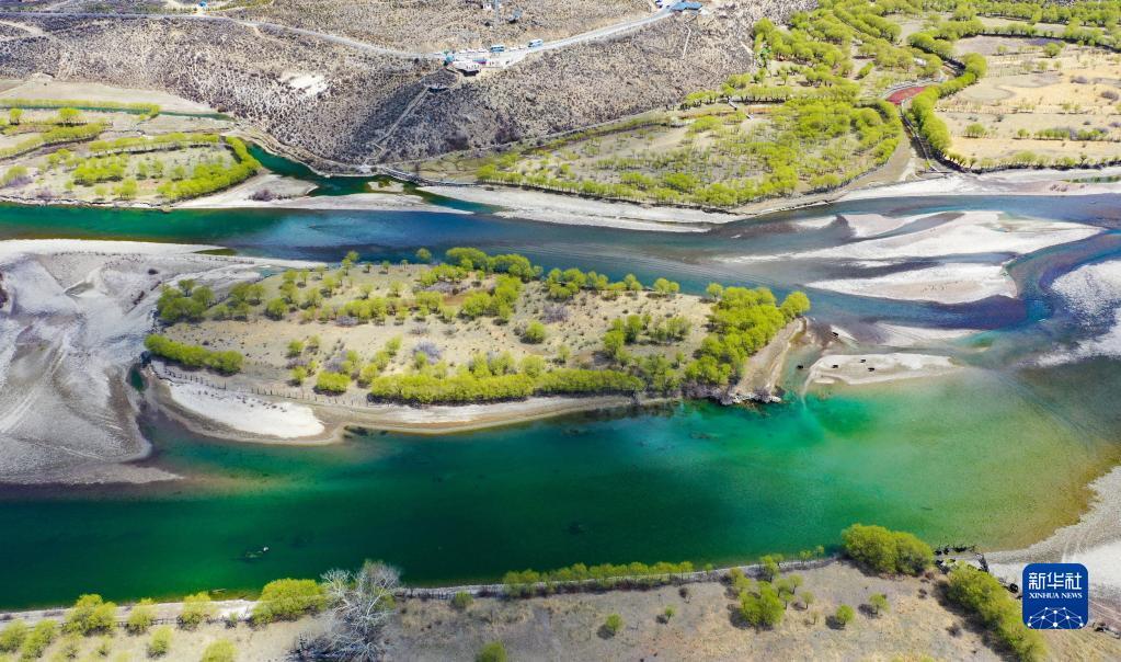 1681091503937533.jpg 6.jpg