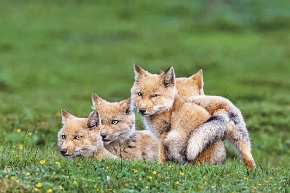 QQ圖片20240523054319