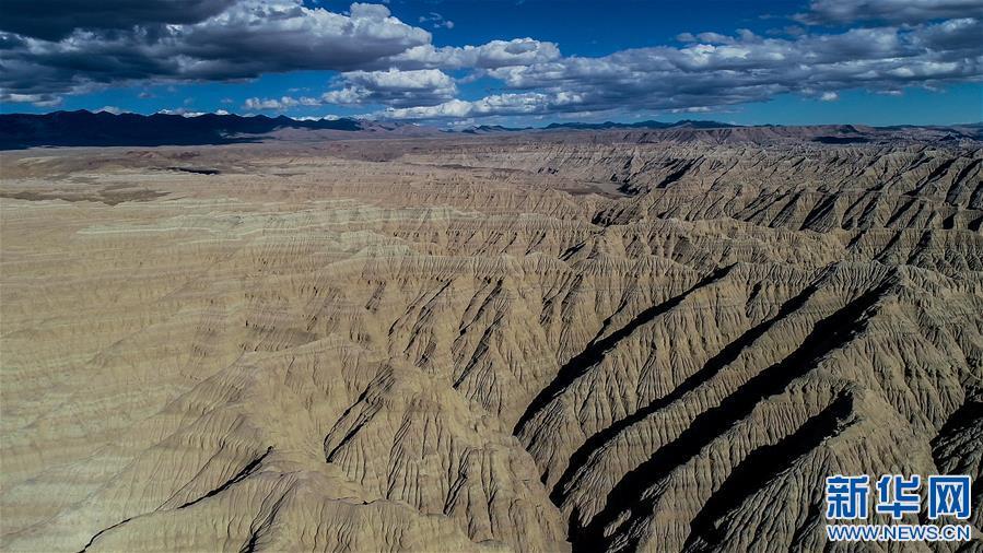 1538013033768345.jpg 7.jpg