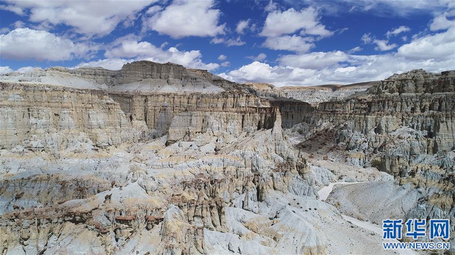 1538013080706808.jpg 2.jpg