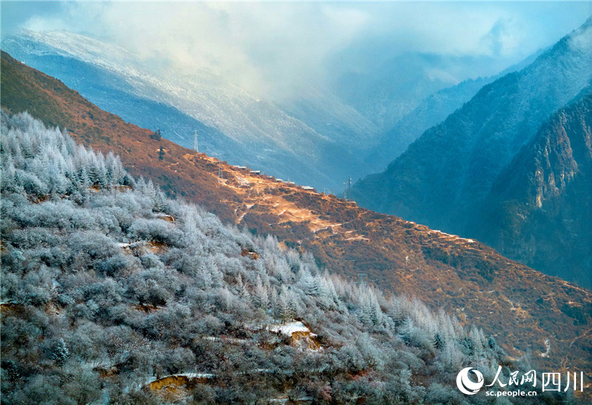 原馳蠟象，欲與天公試比高。胡宇攝