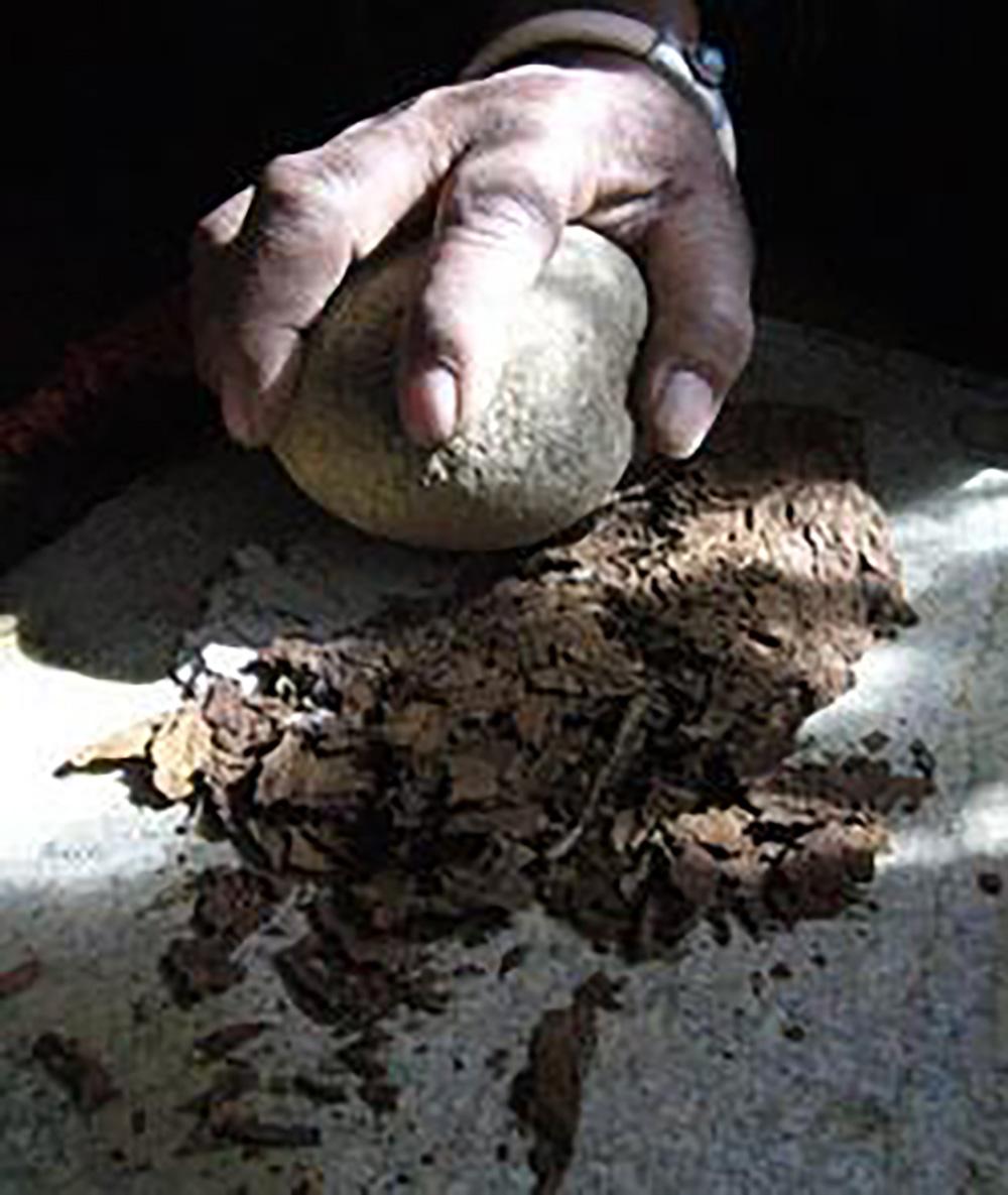 藏族在凹形青石板上磨制鼻咽。（張國華  供稿）timg(1).jpg