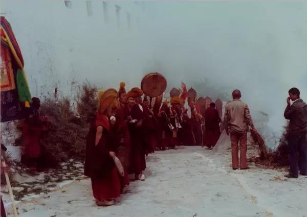 1492134085246685.jpg 7.jpg