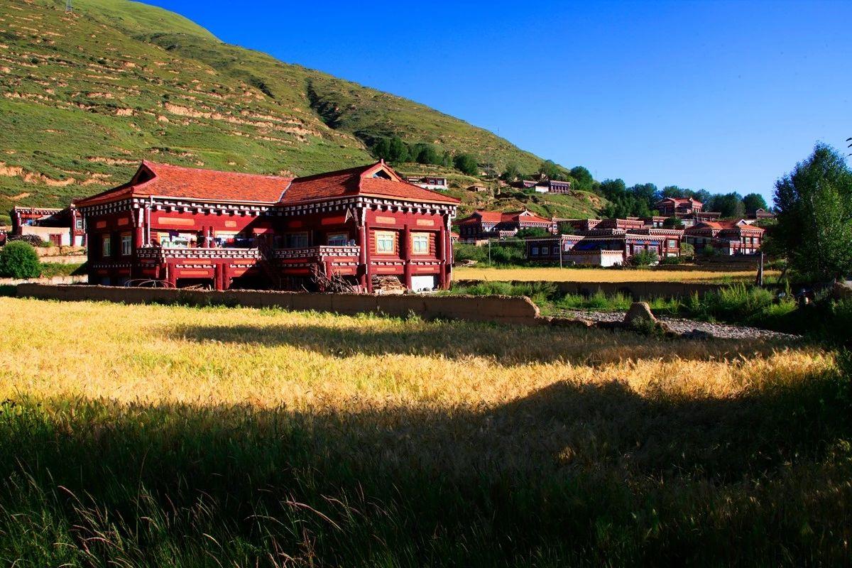 1546348545989438.jpg 44.jpg