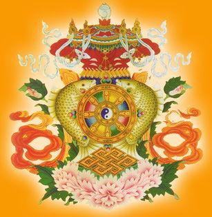 1551665813121585.jpg 1.jpg