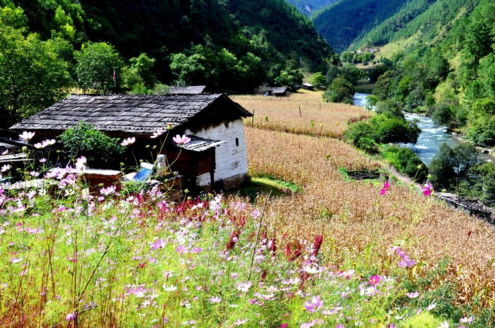 作者的家鄉(xiāng)尼汝普拉村。張國華 攝 106_.jpg