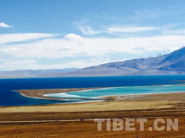 1481001845276746.jpg 3.jpg