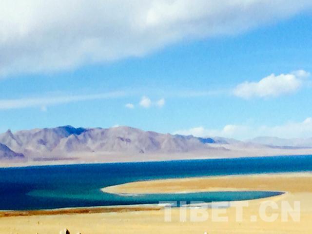 1481001866130735.jpg 5.jpg