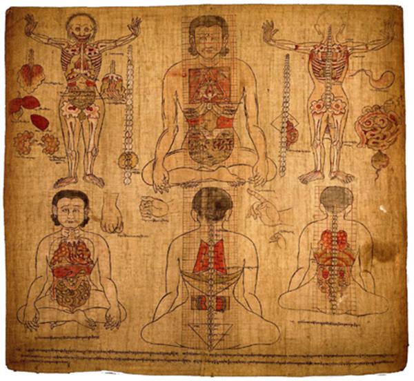 藏醫(yī)治療學 藏醫(yī)藥理療法