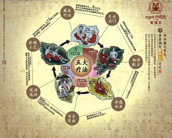 藏醫(yī)治療學 藏醫(yī)藥理療法